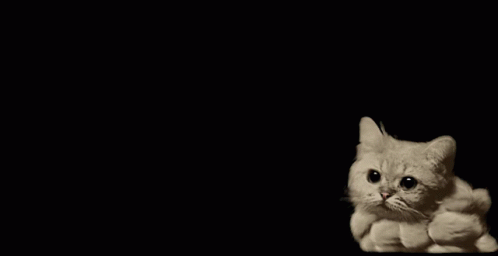 Cat Catsmoke GIF - Cat Catsmoke GIFs