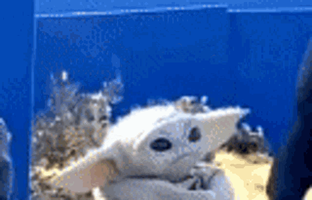 Baby Yoda Vibing GIF - Baby Yoda Vibing Mandalorian GIFs
