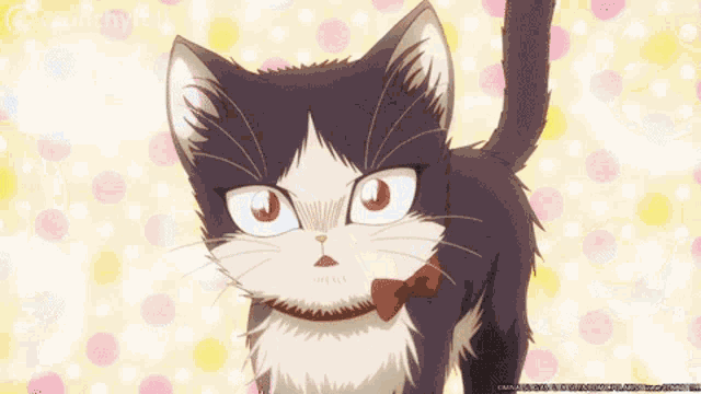 My Roommate Is A Cat Anime Cat GIF - My Roommate Is A Cat Anime Cat GIFs