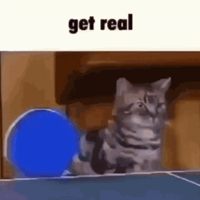 Get Real Caption GIF - Get Real Caption Roblox GIFs