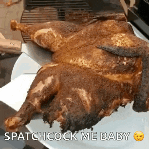a roasted chicken is sitting on a white plate with the words `` spatchcock me baby '' written on it .