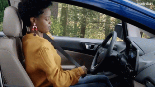 Fasten Seat Belt Safety GIF - Fasten Seat Belt Safety Driving GIFs