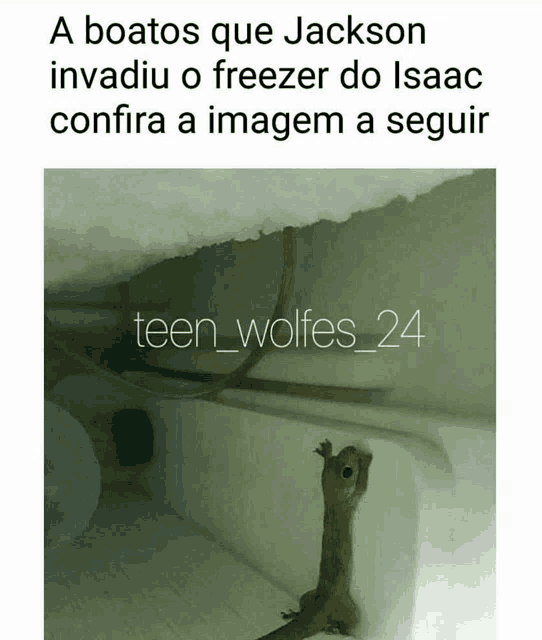 a picture of a lizard in a freezer with a caption that says teen_wolves_24