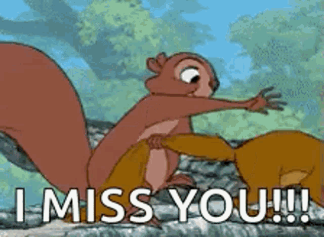 a cartoon of a squirrel and a bear saying i miss you .