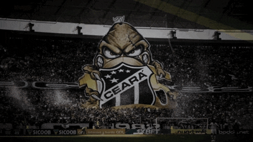 a stadium with a ceara logo and the number 2 on it