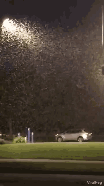 a car is parked in front of a sign that says ' ice cream ' on it