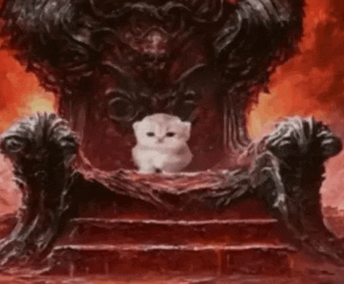 a white kitten is sitting on a throne in the middle of a fire .