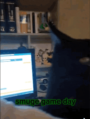 a cat sitting in front of a computer with the words smuge game day written on the screen