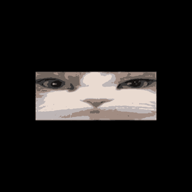 a close up of a cat 's face with blue eyes and a red nose