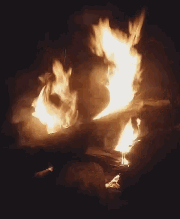 Fire Firepit GIF - Fire Firepit Flames GIFs