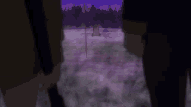 a couple of people standing in a field with a purple background