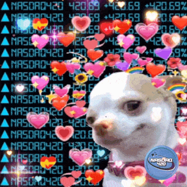 a dog is surrounded by hearts and has a nasdaq 420 logo on it