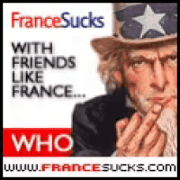 a picture of uncle sam with the words `` with friends like france who www.francesucks.com ''