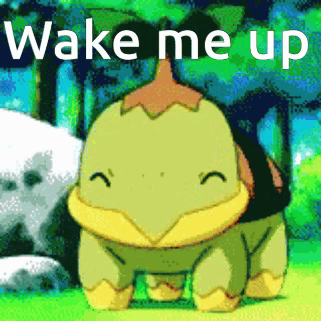 a picture of a turtle that says wake me up on it