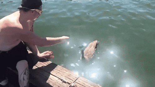 a shirtless man is feeding a duck on a pier