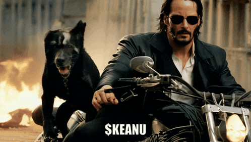 a man riding a motorcycle with a dog behind him and the word $ keanu on the bottom right