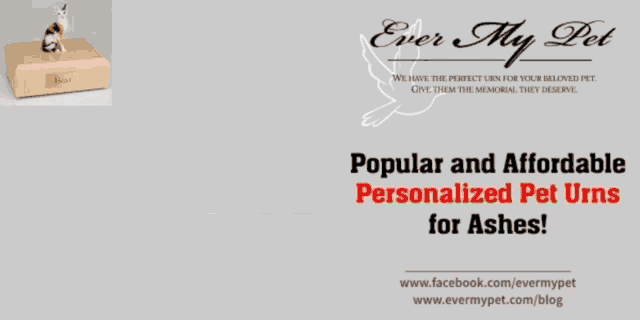 a poster for ever my pet shows a variety of urns