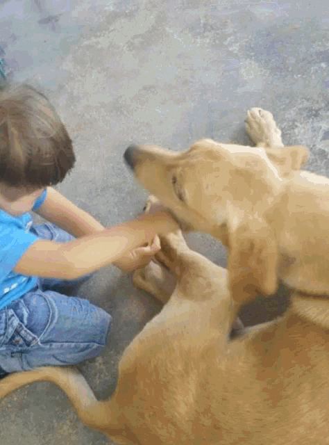a young boy in a blue shirt is petting a dog that is laying down