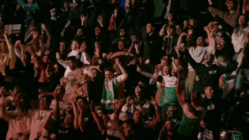 Miami Heretics Fans GIF