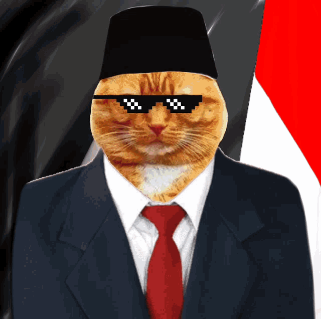 a cat in a suit and tie wearing sunglasses