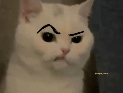 Smirk Cat GIF - Smirk Cat Annoyed Cat GIFs