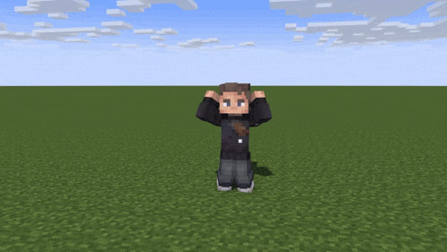 a minecraft character is standing in a field