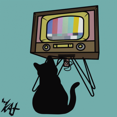 Cats Tv GIF - Cats Cat Tv GIFs