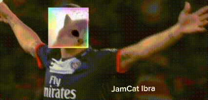 a man wearing a fly emirates jersey with a picture of a dog on his face .