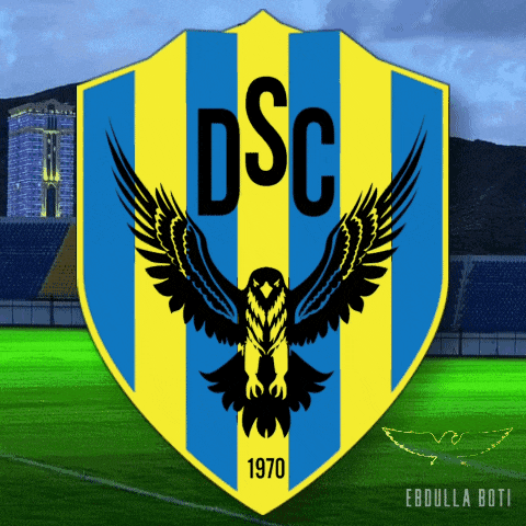 a blue and yellow striped shield with a black bird and the words dsc 1970