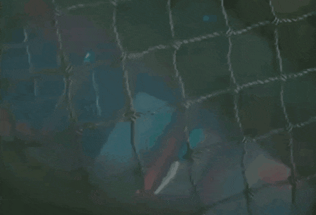 a painting of a person behind a barbed wire fence with a red shirt on