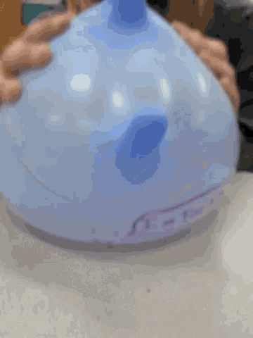 Turkey Gloveballoon GIF