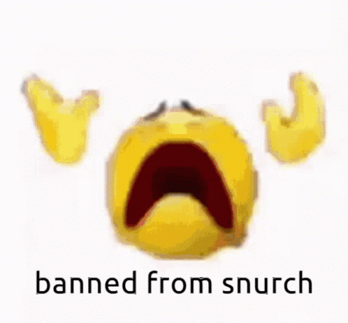 Banned Banned From Snurch GIF - Banned Banned From Snurch Ri GIFs