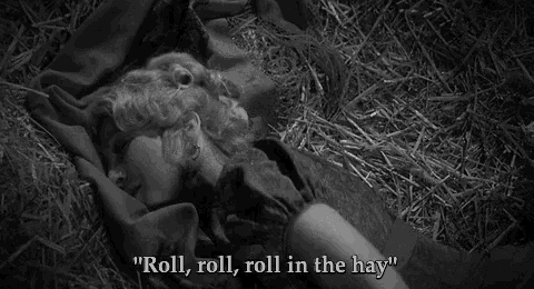 a woman is laying in a pile of hay with the words " roll roll roll in the hay "