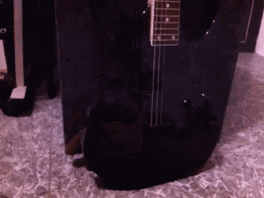 My Domo It'S Alive!!! GIF - Domo Alive Ibanez Electric Guitar GIFs
