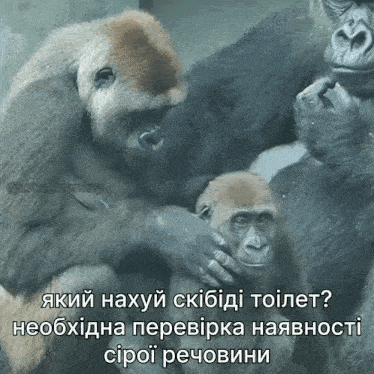 Gorilla Skibidi Toilet GIF