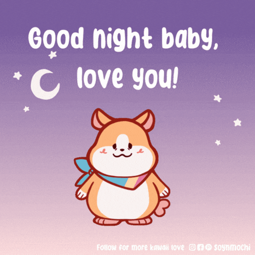 a picture of a hamster with the words good night baby c love you