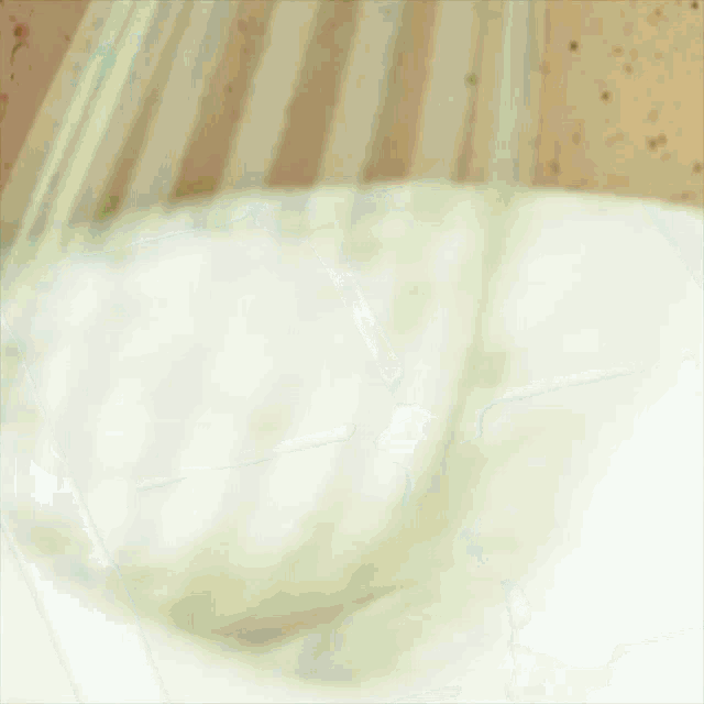 a whisk is being used to stir a pot of liquid