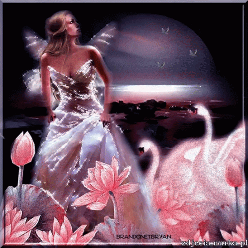 Lotus Swans GIF - Lotus Swans Woman GIFs