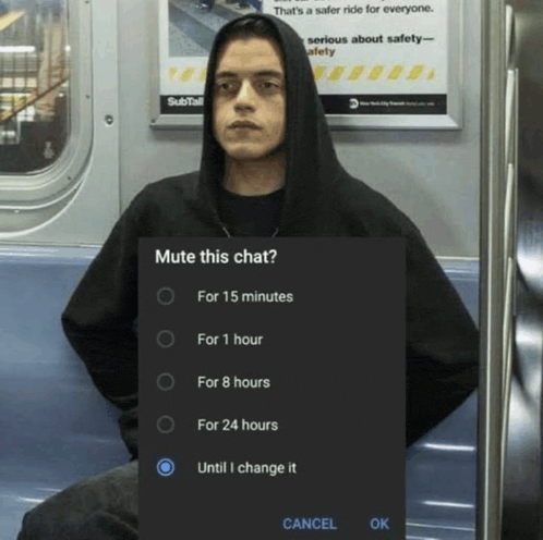 a man in a hoodie is sitting on a subway with a mute this chat screen displayed
