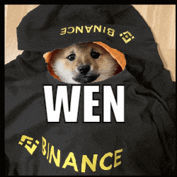 a picture of a dog wearing a hoodie that says binance