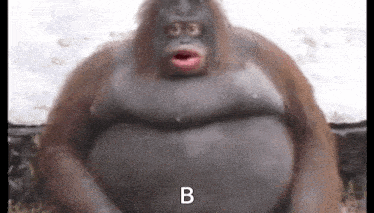 Uh Big GIF - Uh Big Gorilla GIFs