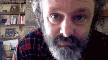 a man with a beard is wearing a plaid shirt and has the hashtag @itsscottiesstark above his face
