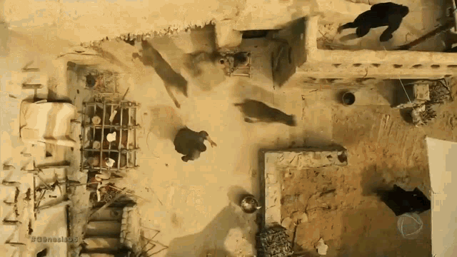 an aerial view of a sandy area with the words ' ao brasil ' on the bottom