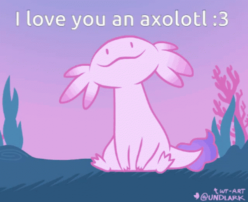 Axolotl I Love You An Axolotl GIF