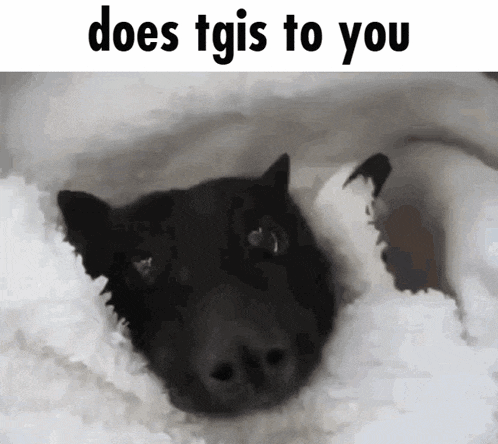 a picture of a bat with the words does tgis to you below it