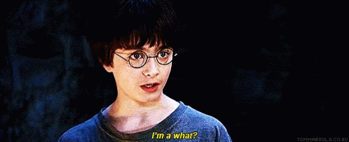 Harry Potter GIF - Harry Potter Wizard GIFs