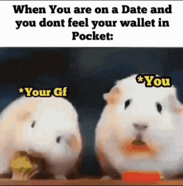 Hrcak Novcanik GIF