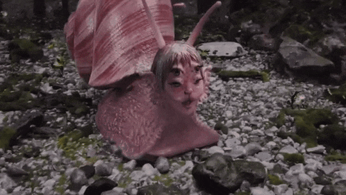a pink snail with a face on it is crawling on rocks