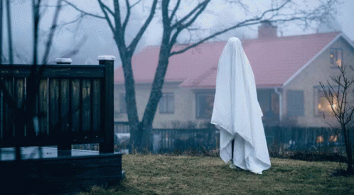 Ghosts Paranormal GIF - Ghosts Paranormal Funny GIFs