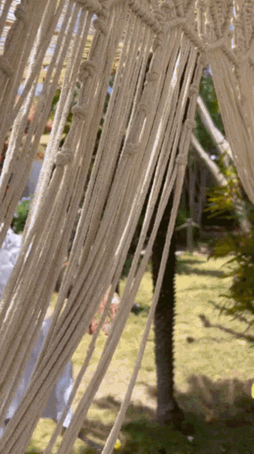 a close up of a rope hanging from a tree
